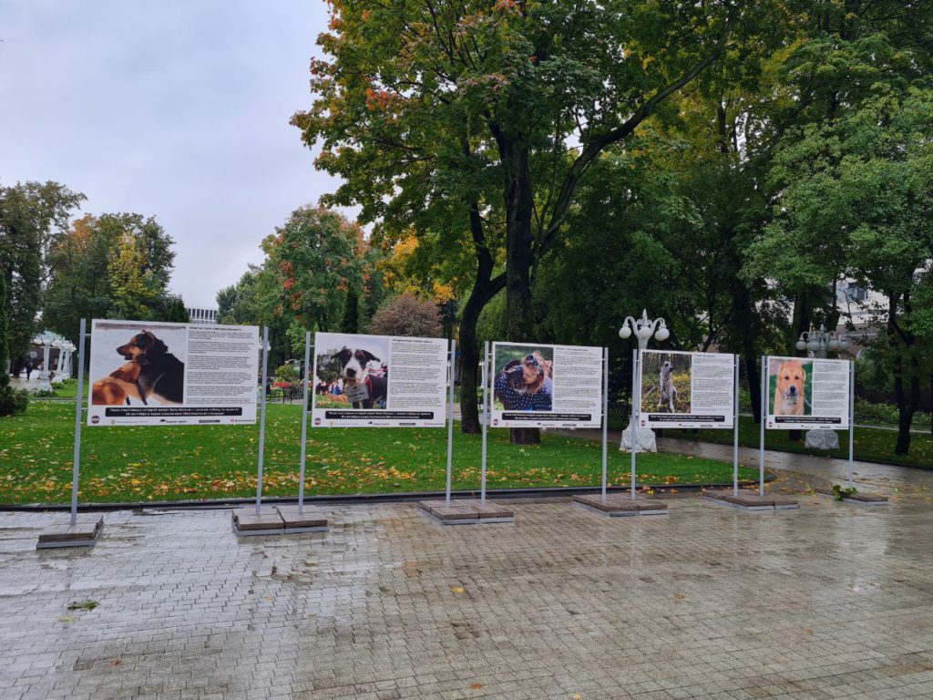 В Москве открывается уличная фотовыставка про выпускников из приютов для животных.