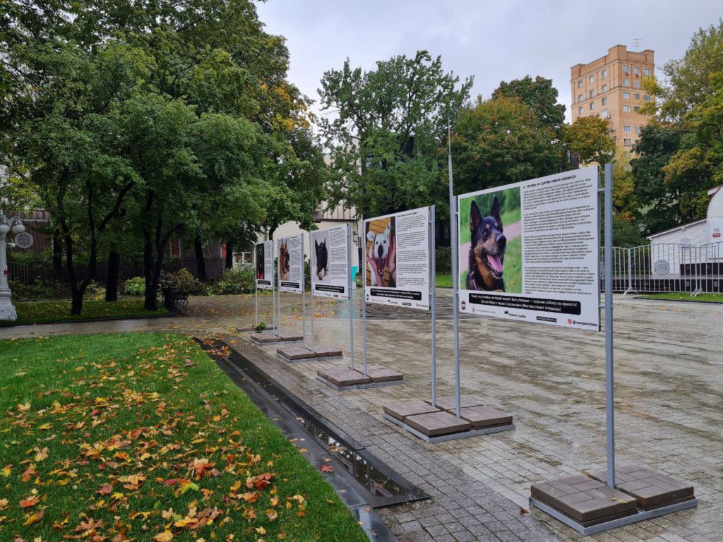 В Москве открывается уличная фотовыставка про выпускников из приютов для животных.
