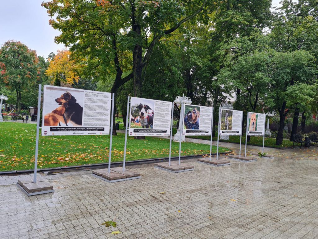 В Москве открывается уличная фотовыставка про выпускников из приютов для животных.