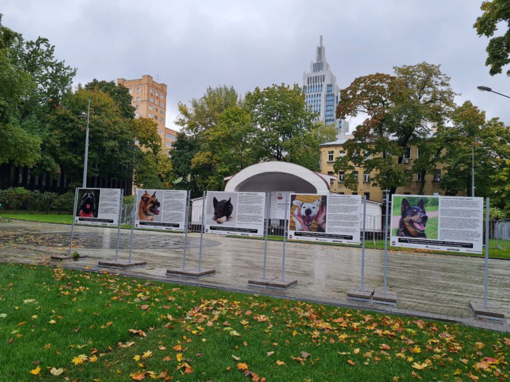 В Москве открывается уличная фотовыставка про выпускников из приютов для животных.
